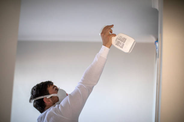 Best Office Mold Removal Services  in Provo, UT